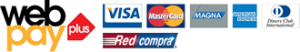 webPayPlus